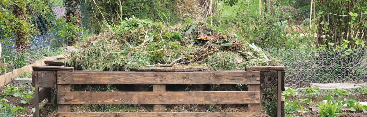 Compost Heap