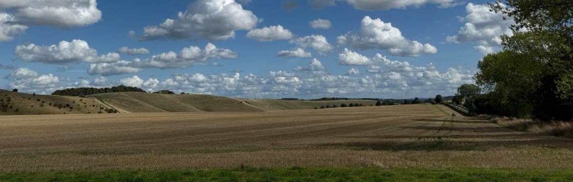2026 White Horse Festival - Nature Pass