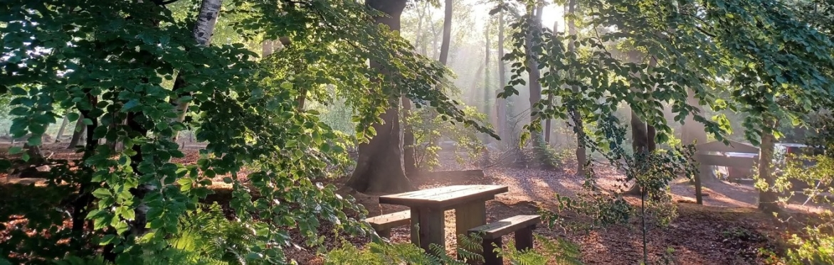 Cannon Hill Woodland