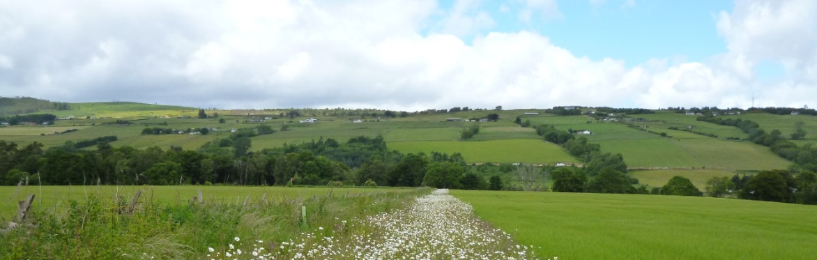 Woodland creation & management to maximise biodiversity: What needs to be considered?