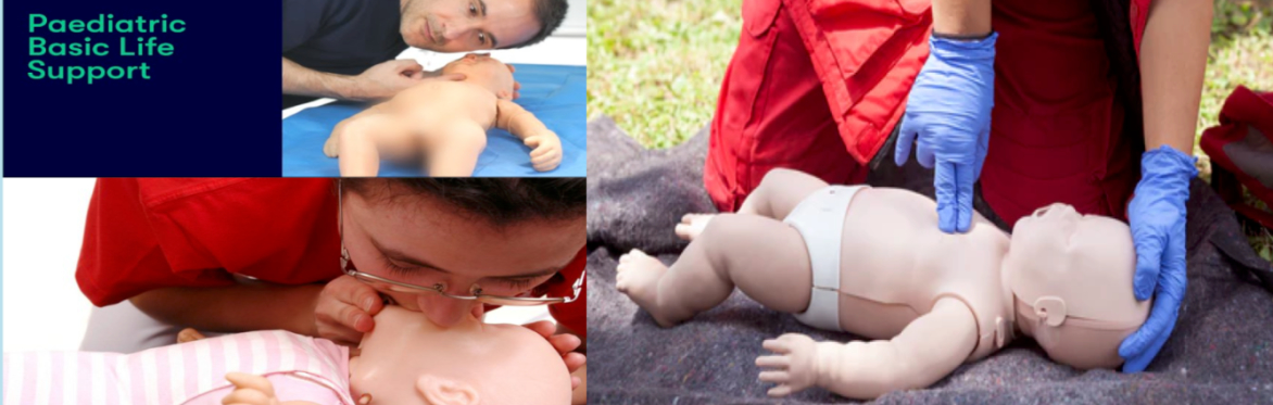 Basic Life Saving Workshop to babies inc. use of epipen