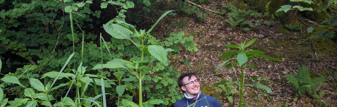South Queich Balsam Bash