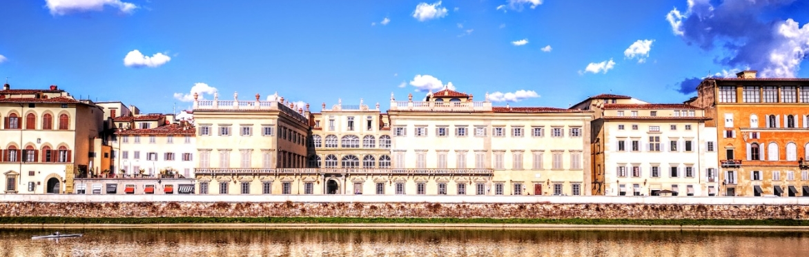 MEDICI AND MICHELANGELO