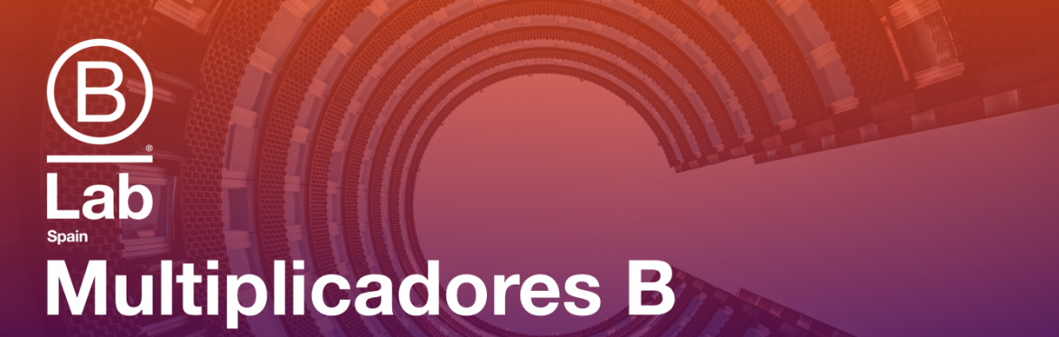 Multiplicadores B