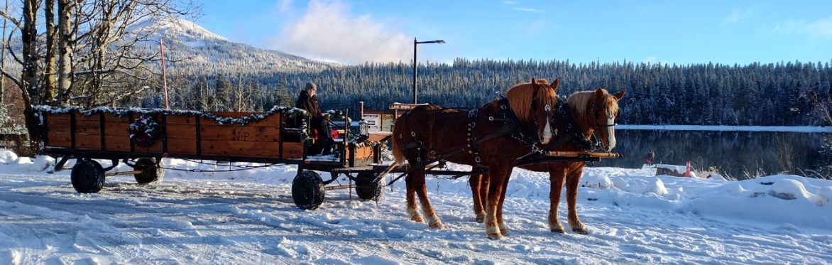 Fish Lake Resort