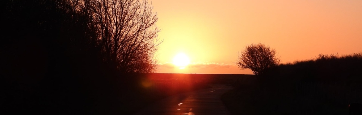 Dawn Chorus Walk