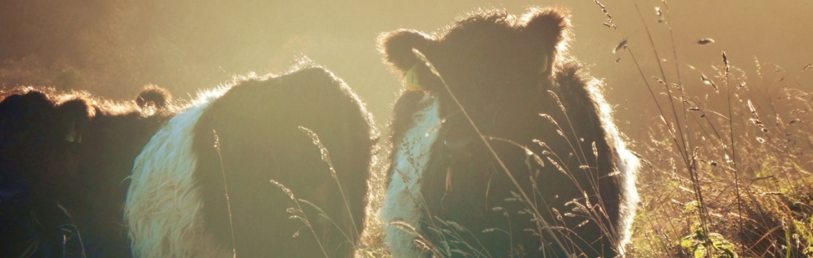 Restoring Nature: Rewilding and Regenerative Agriculture Literary Festival