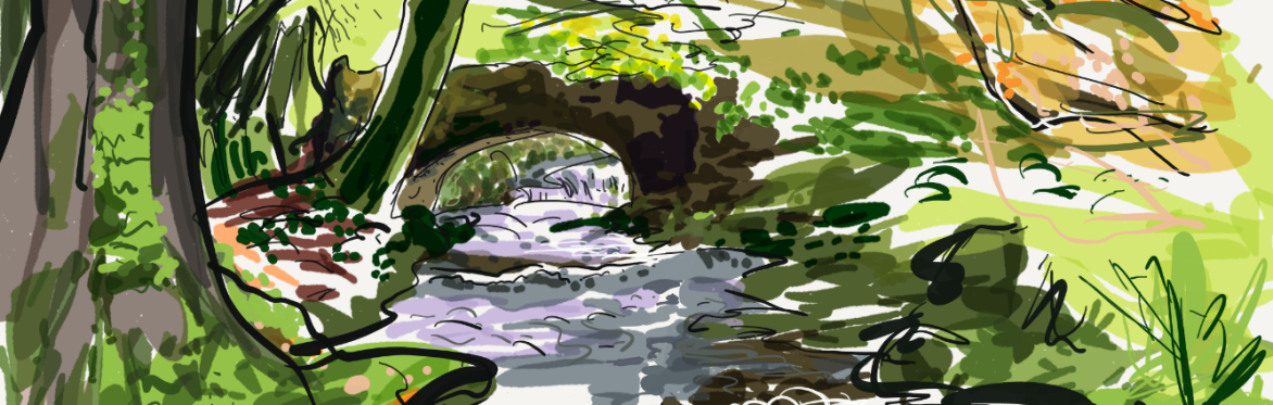 iPad Art  - total beginners