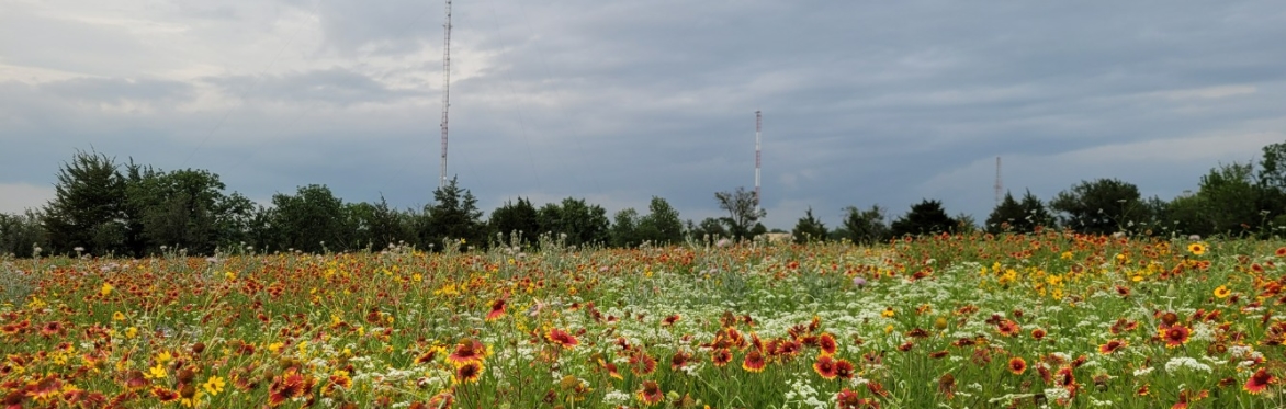 FW-NPAT: How a Grant Expedited Invasive Species Control, Community Partnership, and Interns