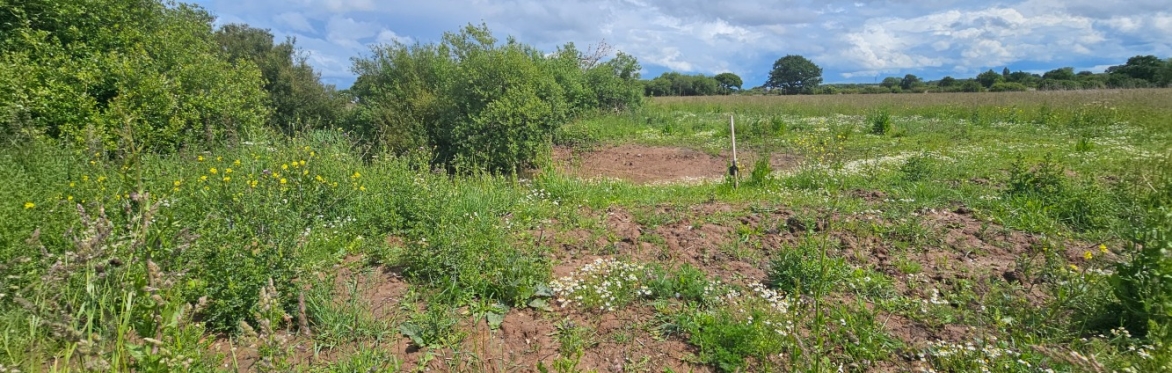 Kindling Farm Invertebrate Recording Day
