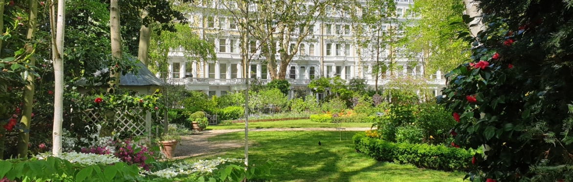 London Open Gardens Walk
