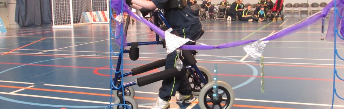 Special Olympics Motor Activities Training Programme; Introductory Workshop.