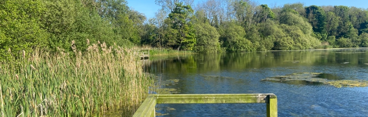 Botanical Skills NI: Introduction to Aquatic and Emergent Plants