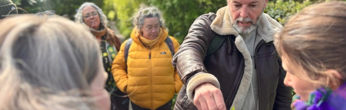 Wild Foraging Walk - Greenwood Grange Dorset
