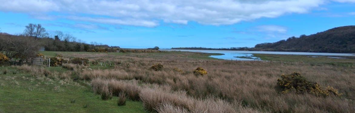 Community Walk: Anglesey Coastal Path Section 16: Bryn-rhwydd to Llanfachraeth (16km/10 miles)