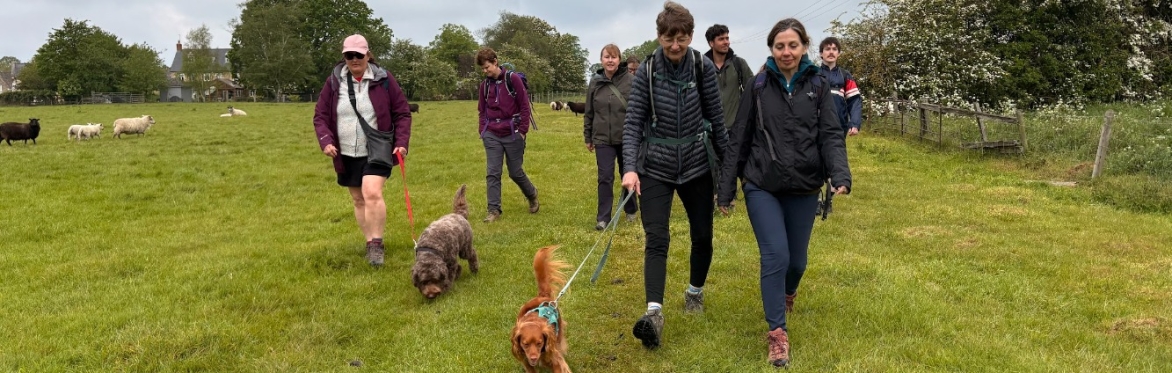Castle Ashby Lakes Dog Pack Walk — 3.5 Miles