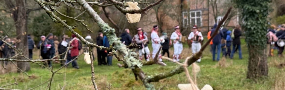 Wassail