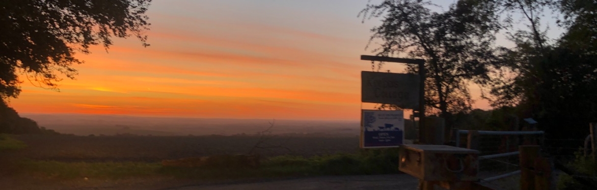 Top Gun Outdoor Cinema Evening at Blue Tin