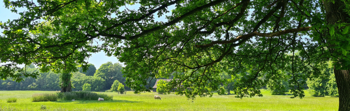 In Austen's Footsteps: Guided Estate Walk