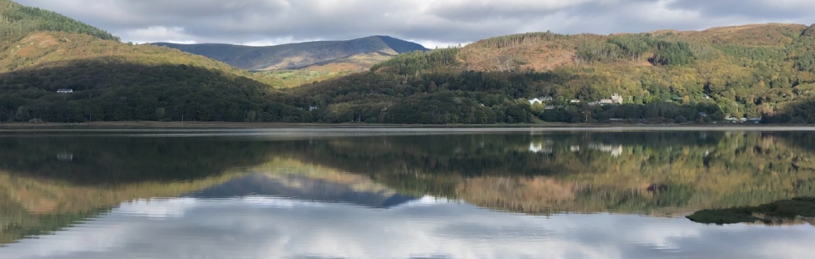 WALK : MID WALES – Mawddach Trail and Abergwynant Woods