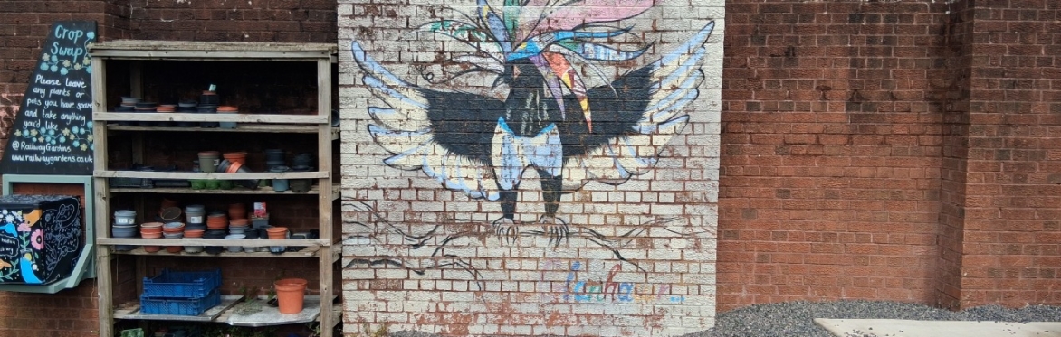 colourful magpie wall mural