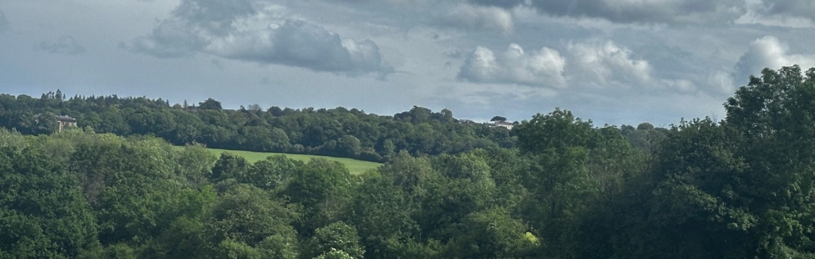 meeting of nature and health practitioners