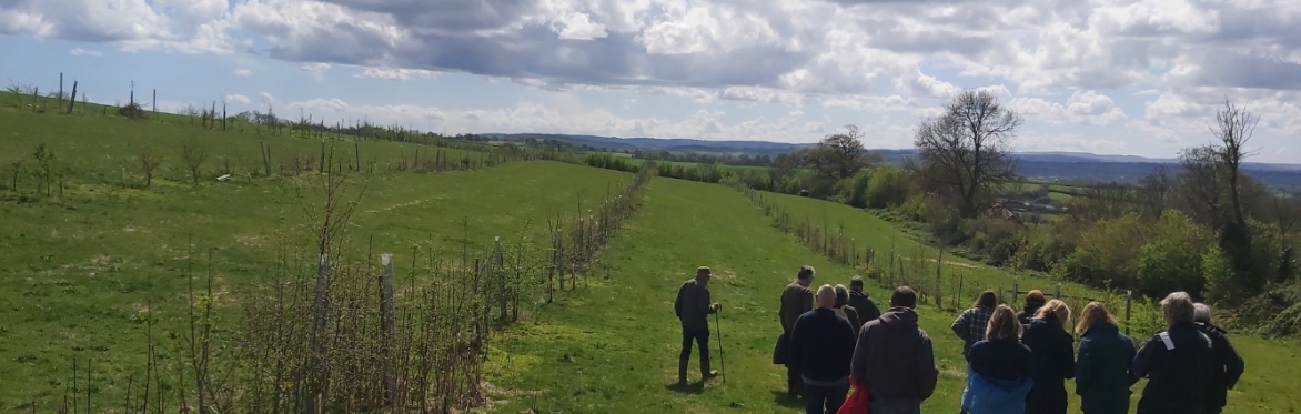Building a wildlife corridor