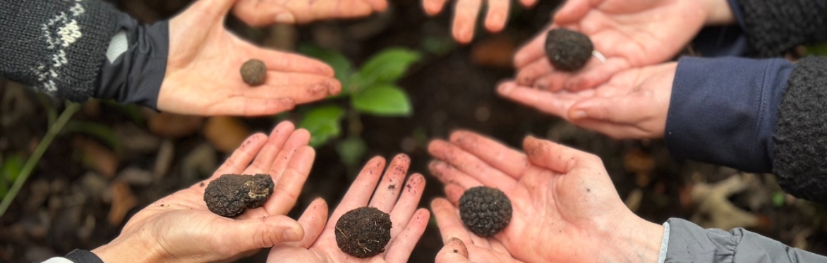 Truffle Hunting Experience Day