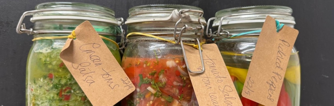 Fermented salsas & Cultured Nut Cheese Workshop