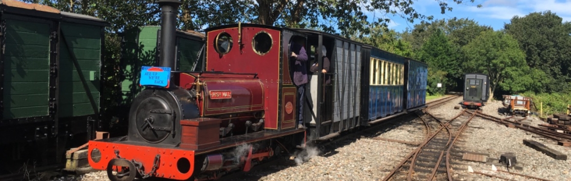 Advance Anyday Discounted Ticket - NOT VALID FOR HALLOWEEN or SANTA SPECIALS