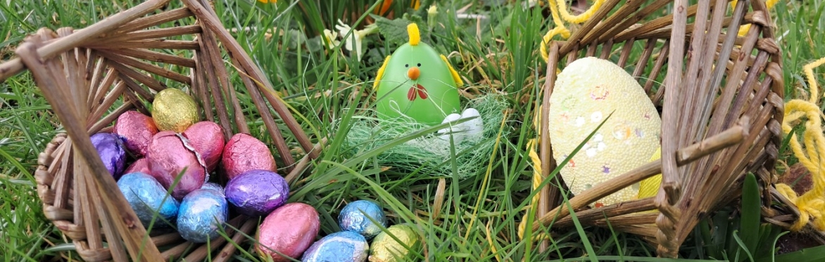 Easter Fun in the Forest