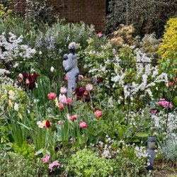 The Garden of Orchard House