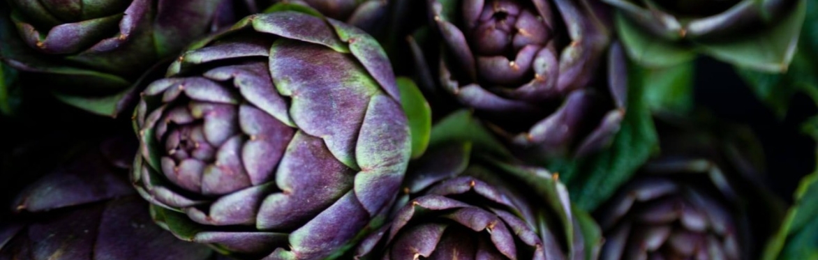 Carciofo Violetto di San Luca - Presidio Slow Food