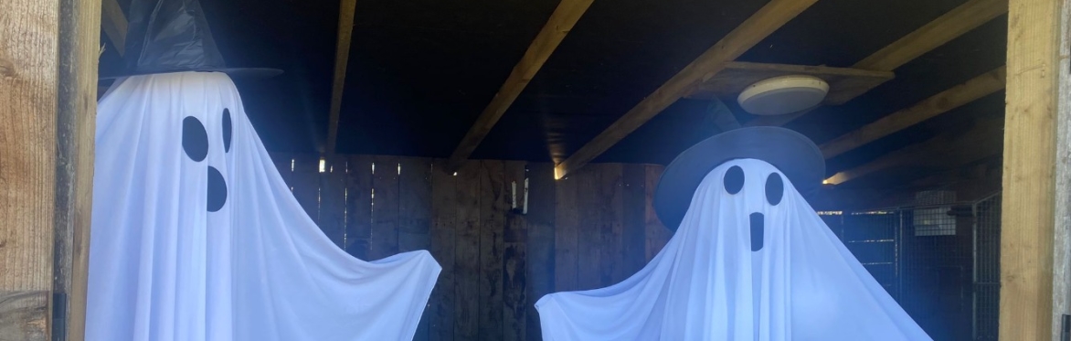 Sensory Friendly: High Farm Spooky Farm