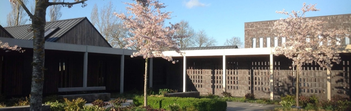 Buddhism & Meditation 'Immersion' Retreat - Final Payment