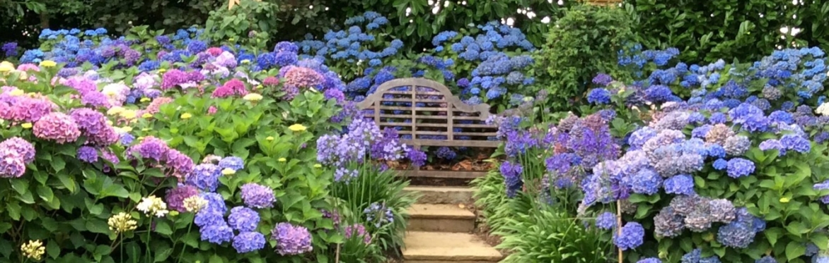 Burrows Garden Visit