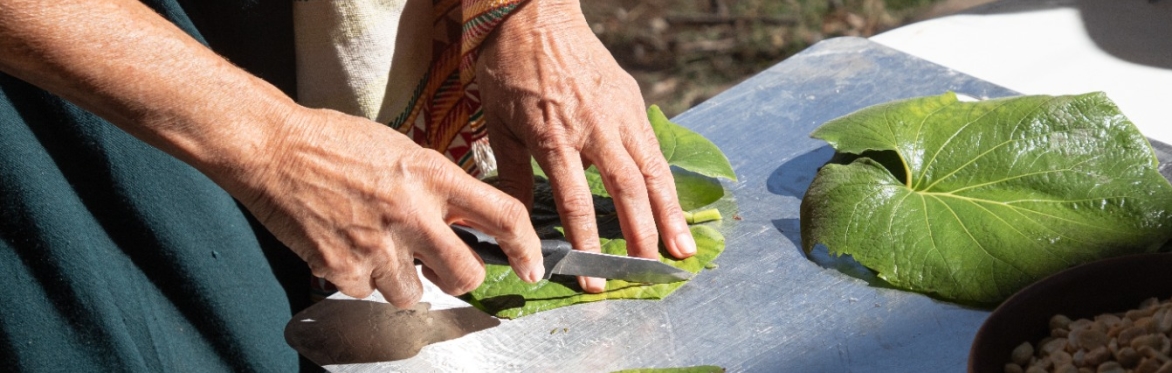 DEL HUERTO A LA MESA • Edición ll. BROTAR • en Villa Agroecológica Tierra del Sol, Oaxaca.