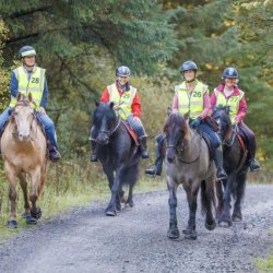 Chatsworth Estate Pleasure Ride for Ride Out UK