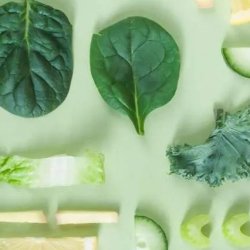 herbal medicine course