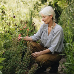 The Wild Experimental Garden with Alison Jenkins