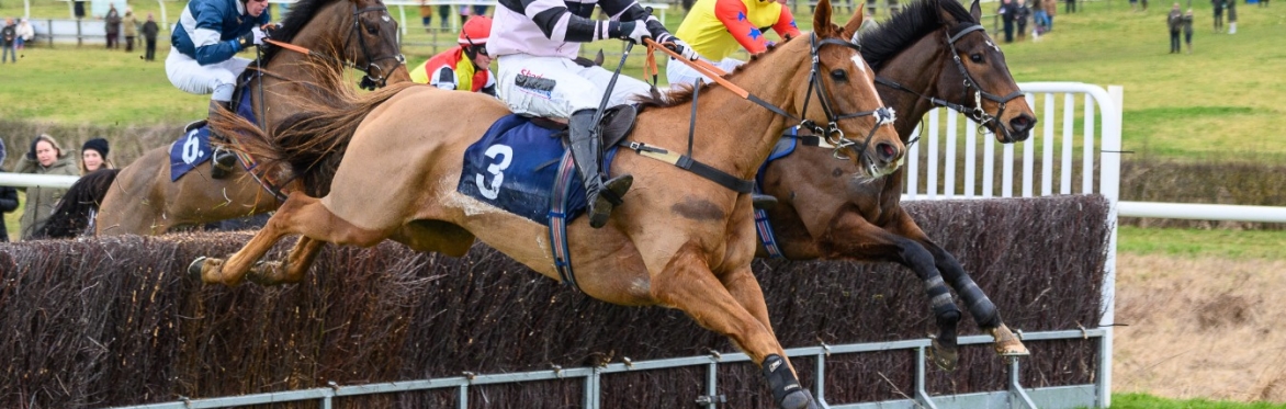 Horse racing at Garthorpe in Leicestershire