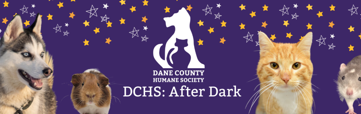 DCHS: After Dark