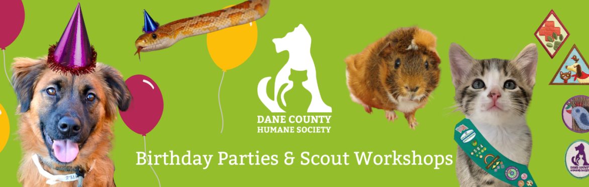 Birthday Parties and Scout Workshops