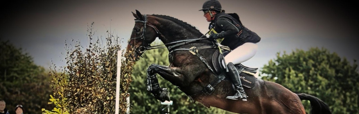 Buy tickets – Comprehensive Coaching Techniques for Equestrian Coaches ...