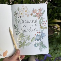 Drawing workshop @ Lothlorien therapeutic gardens