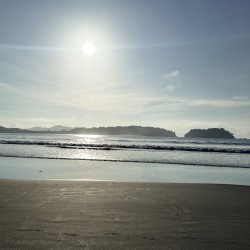 Altered by Nature - A Destination Retreat with Dee Yergo