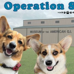 Operation Short Legs 2026