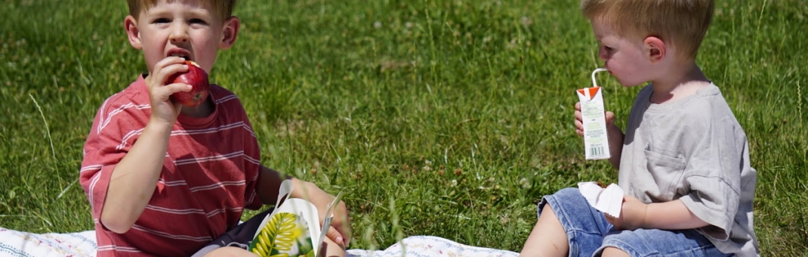 Summer Holiday Trail and Picnic