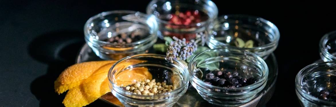 Gin Tasting (inkl. Fingerfood) - Auf den Spuren Magellan’s