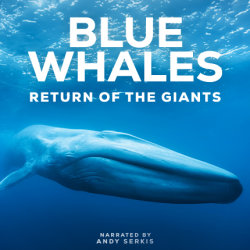 BLUE WHALES: RETURN OF THE GIANTS